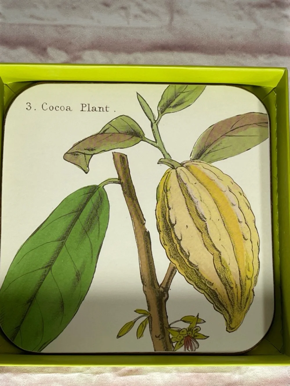 WILLIAMS-SONOMA COASTERS